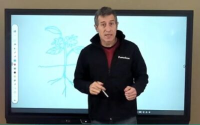 Ejemplo práctico de clase semipresencial con panel interactivo